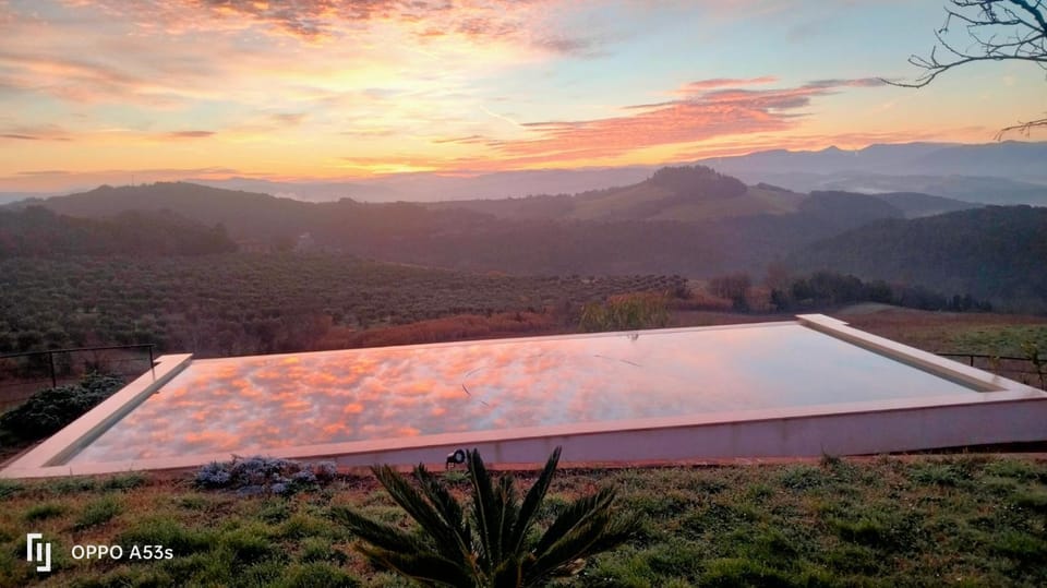 Pool view, Sunrise