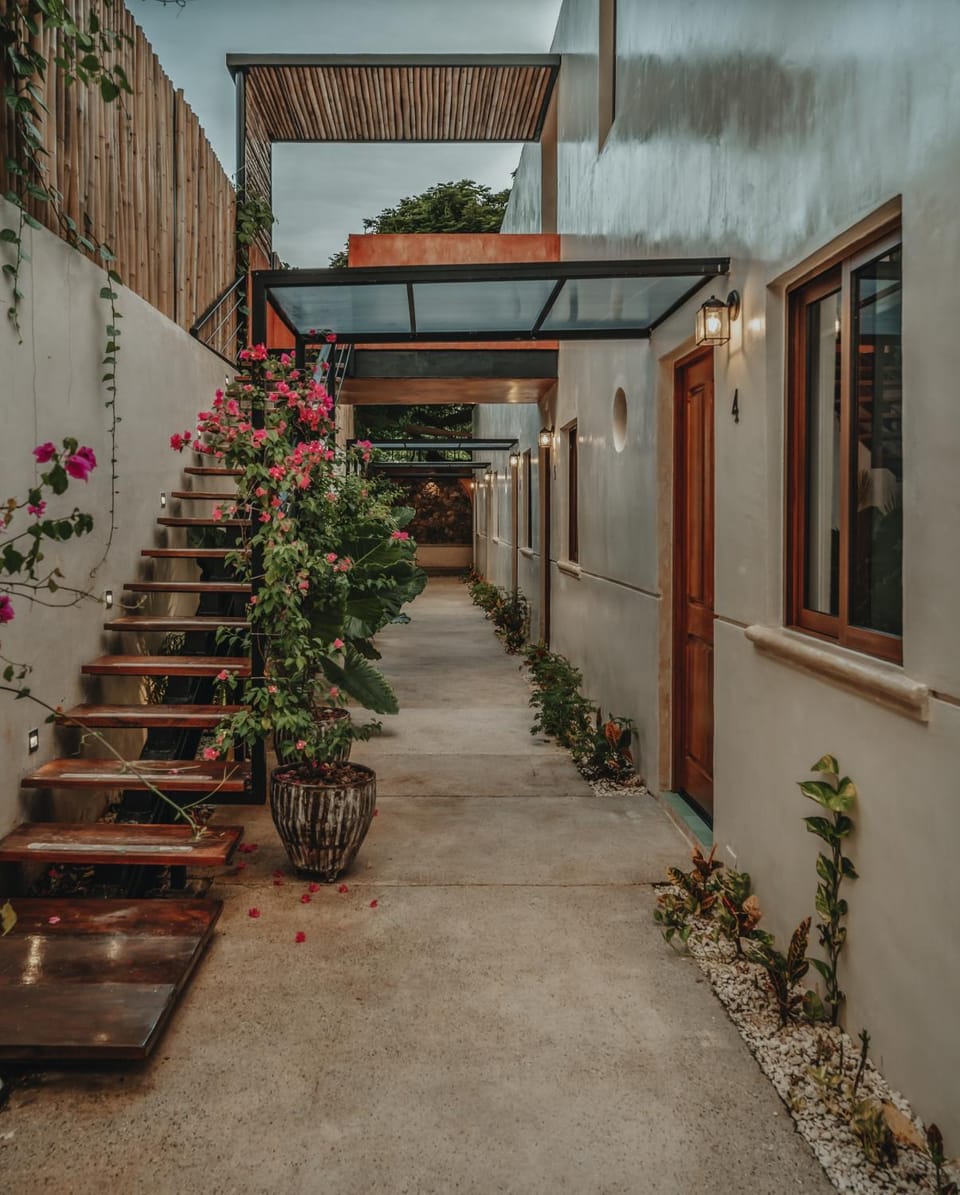 Day, Garden, Garden view