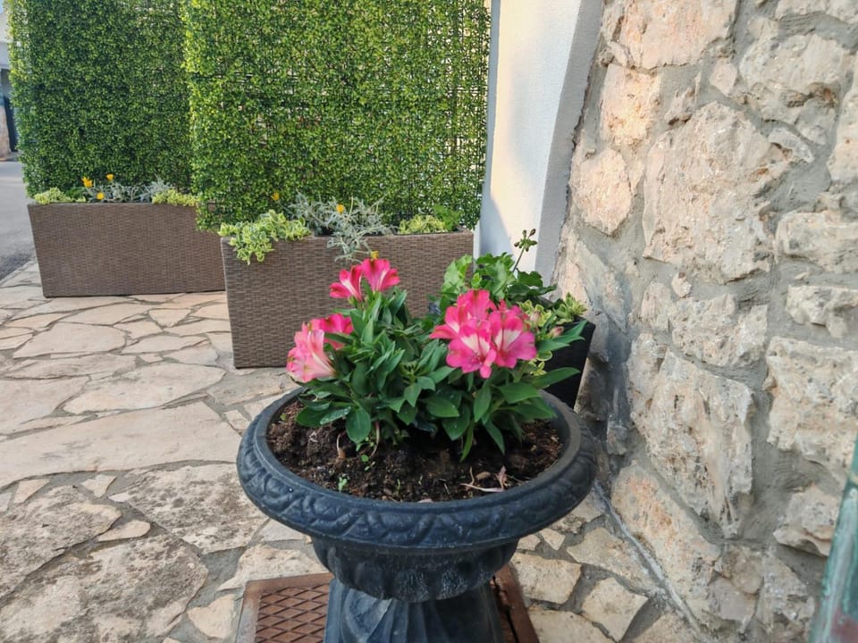 Apartments Liljana Privlaka Apartment in Zadar County