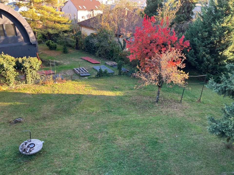 Rétifarkas Apartment with a green belt, fantastic city views and free parking Apartment in Budapest