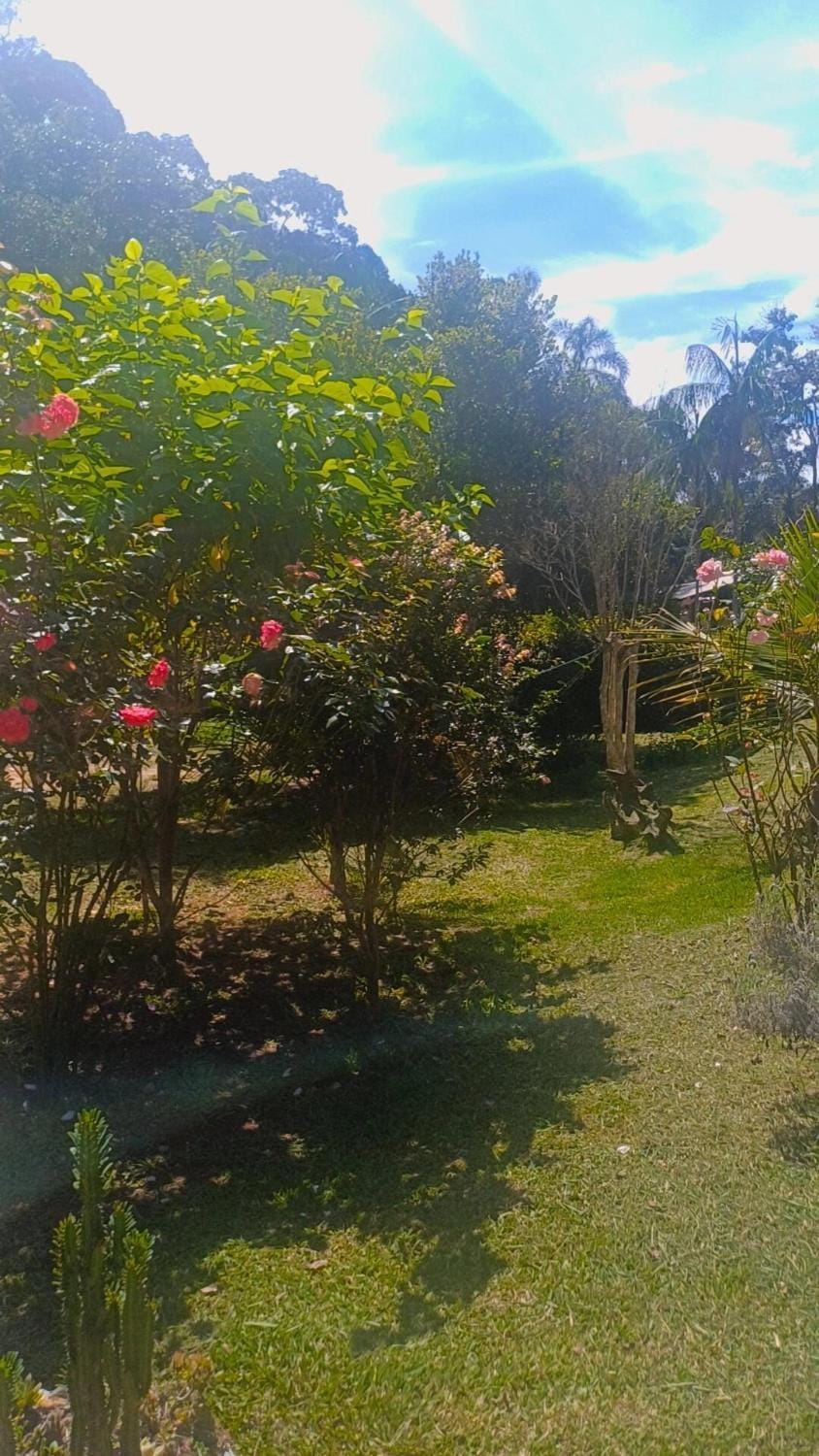 Spring, Natural landscape, Garden