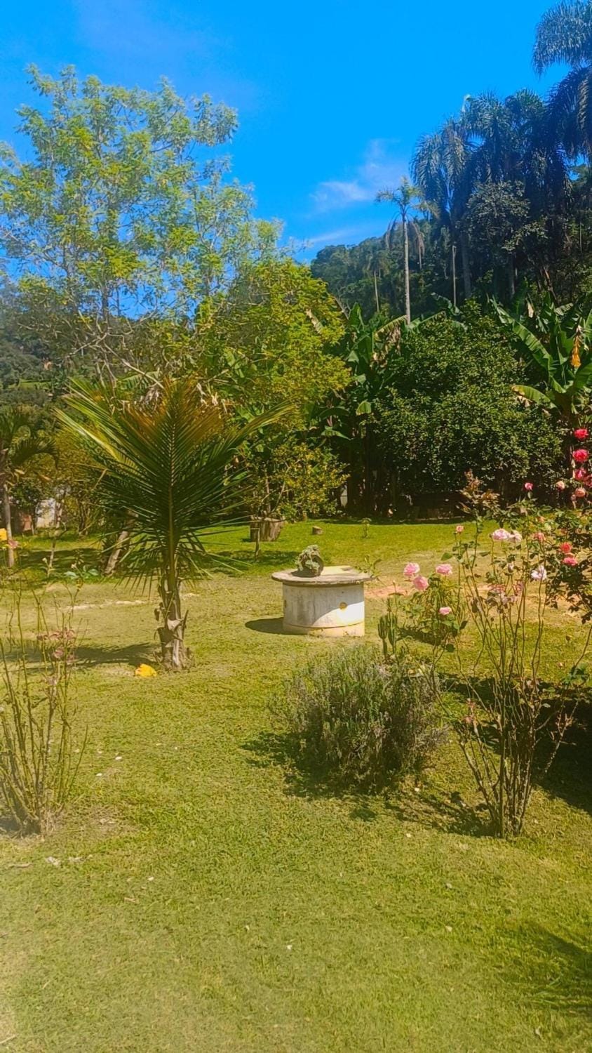 Natural landscape, Garden view