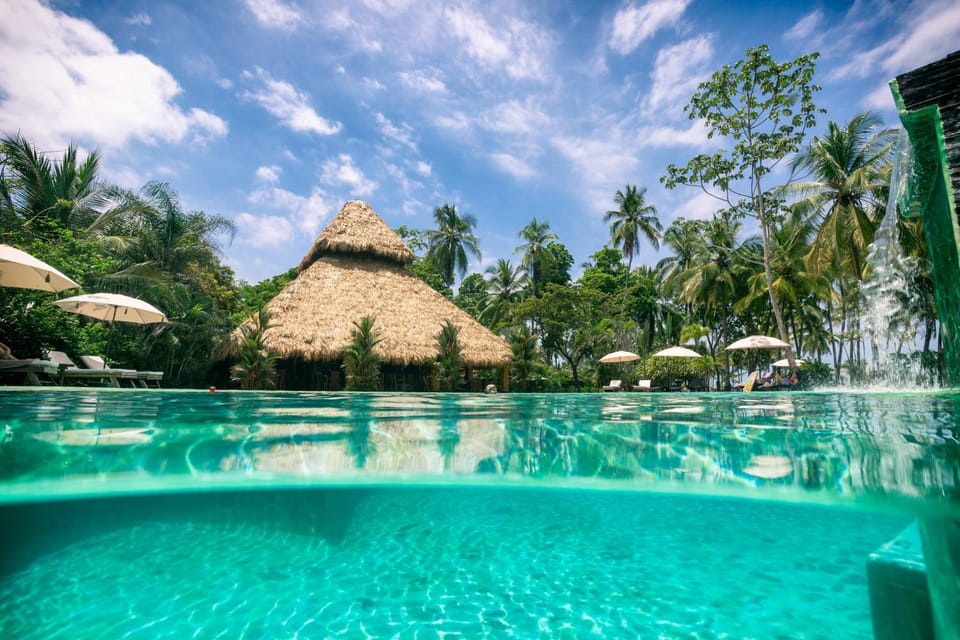 Day, Pool view, Swimming pool, sunbed