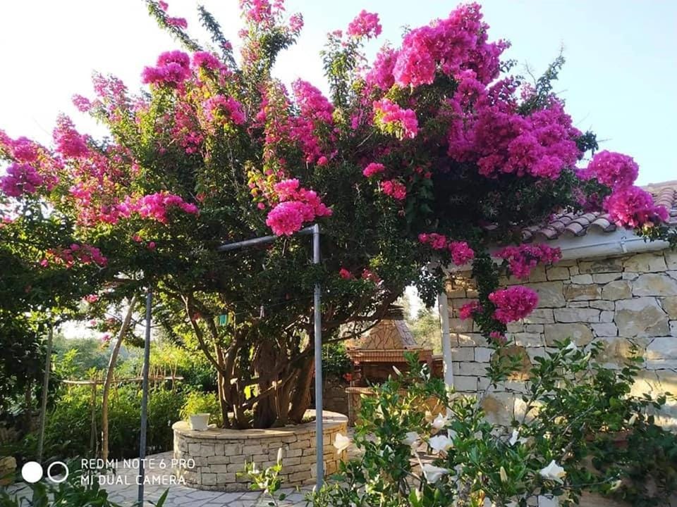 Villa Loulaki Villa in Peloponnese, Western Greece and the Ionian