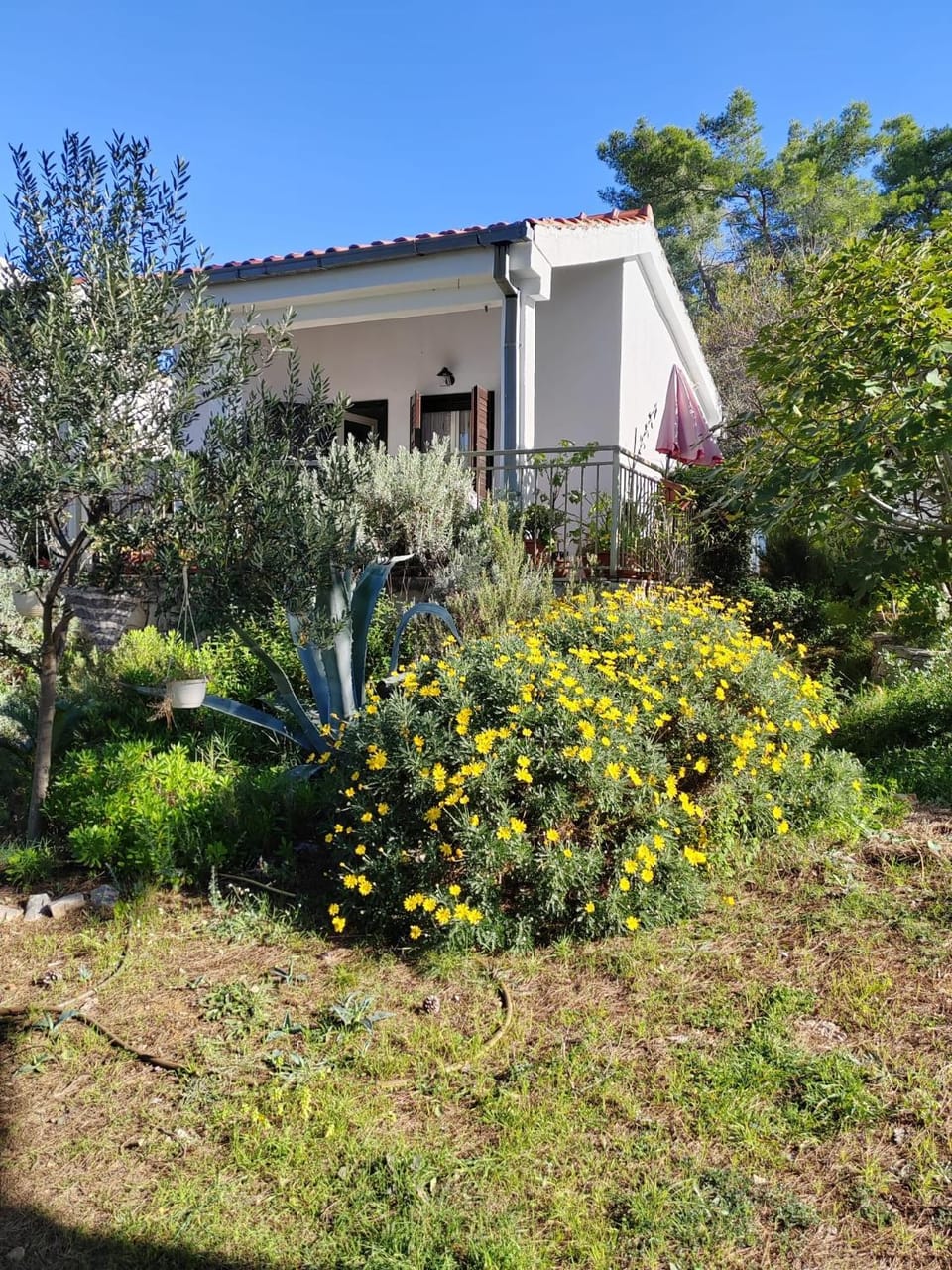 Location, children, Family