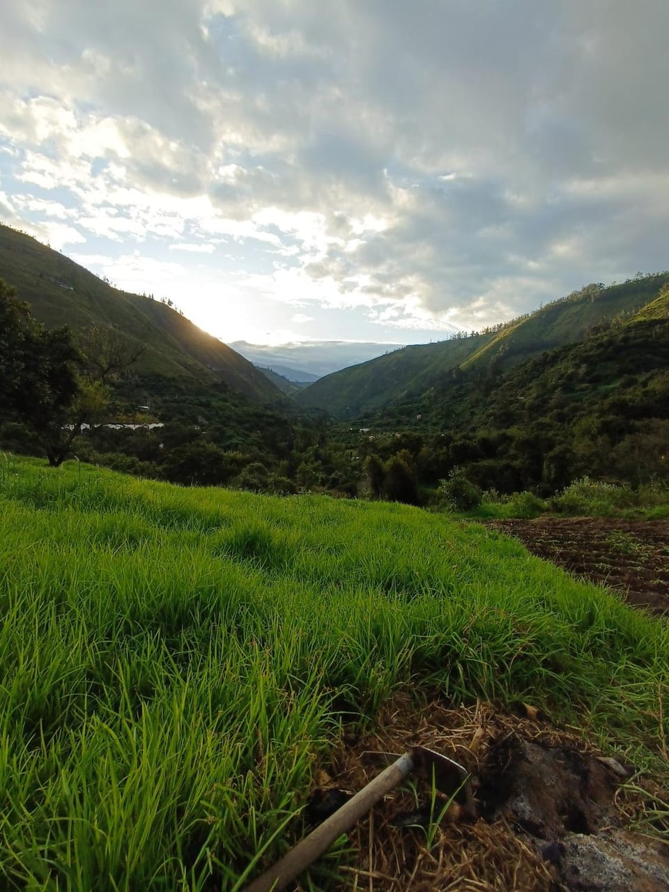 Mountain view, Sunset