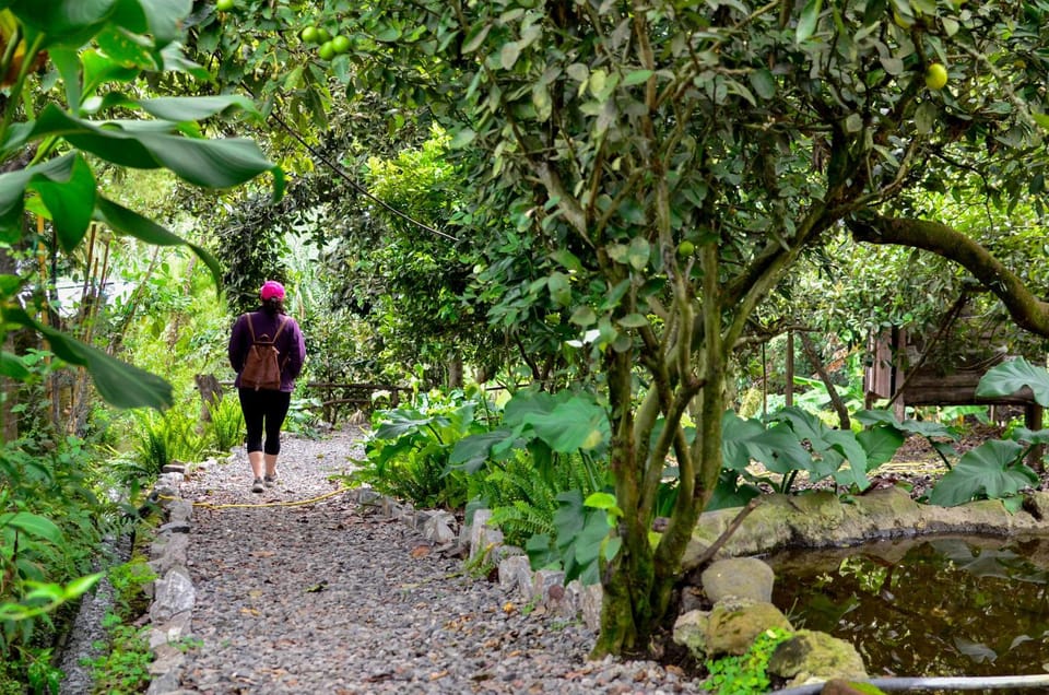 QuillaGlamping Luxury tent in Tungurahua, Ecuador
