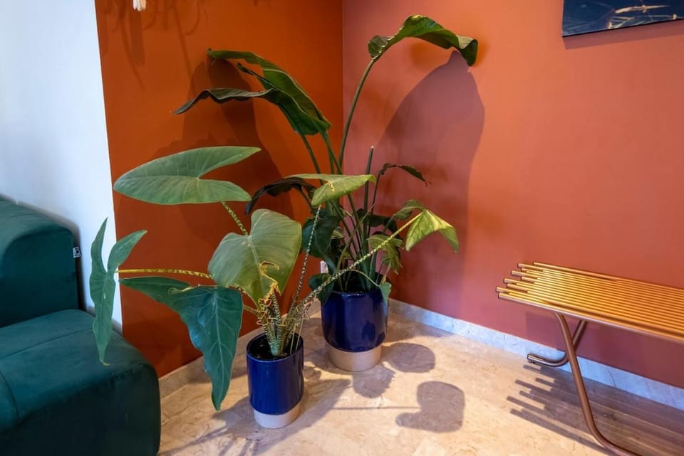 Spacious and pleasant 3 bedroom flat Apartment in Nice