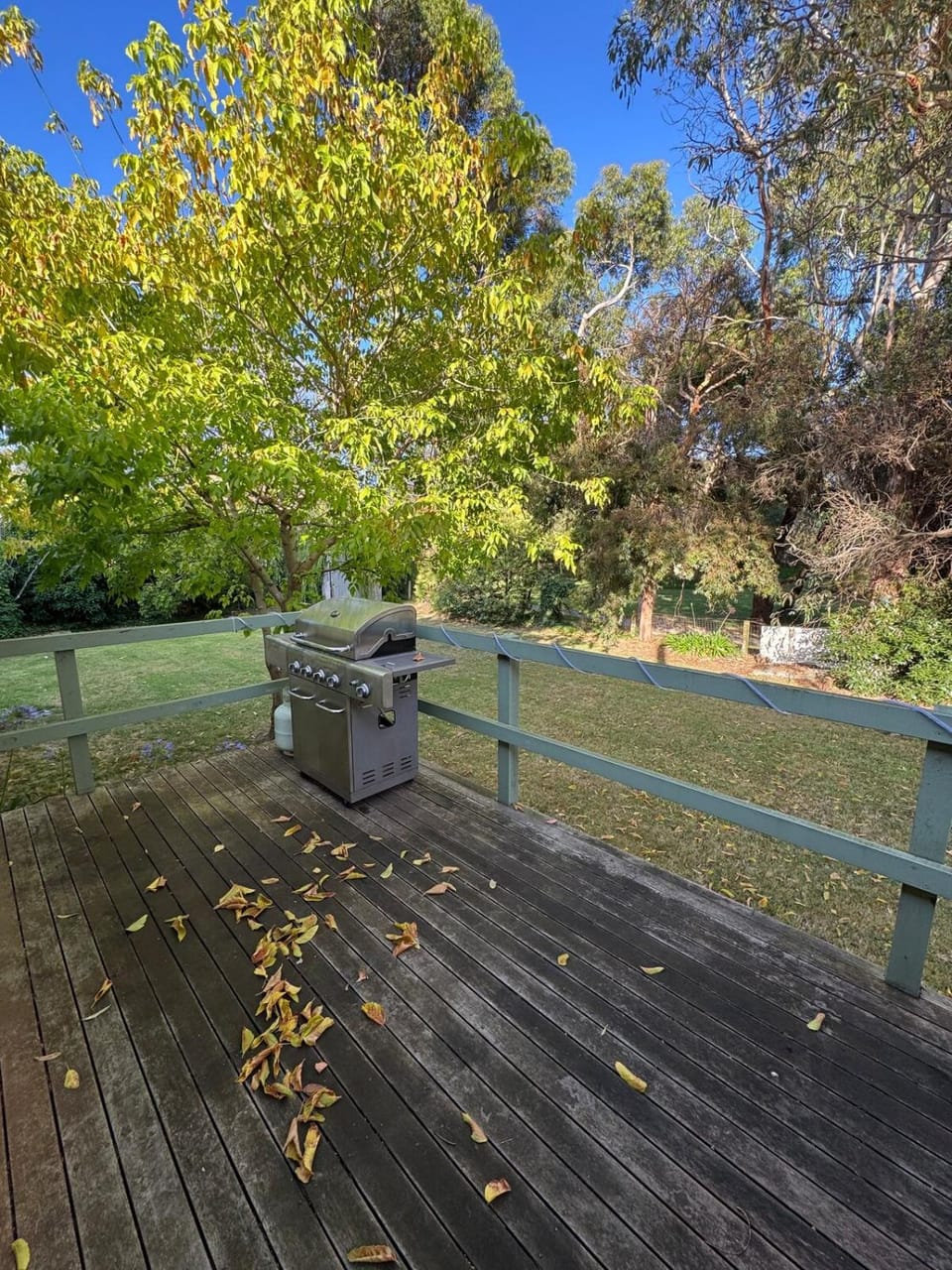 Natural landscape, Garden, Balcony/Terrace, Garden view
