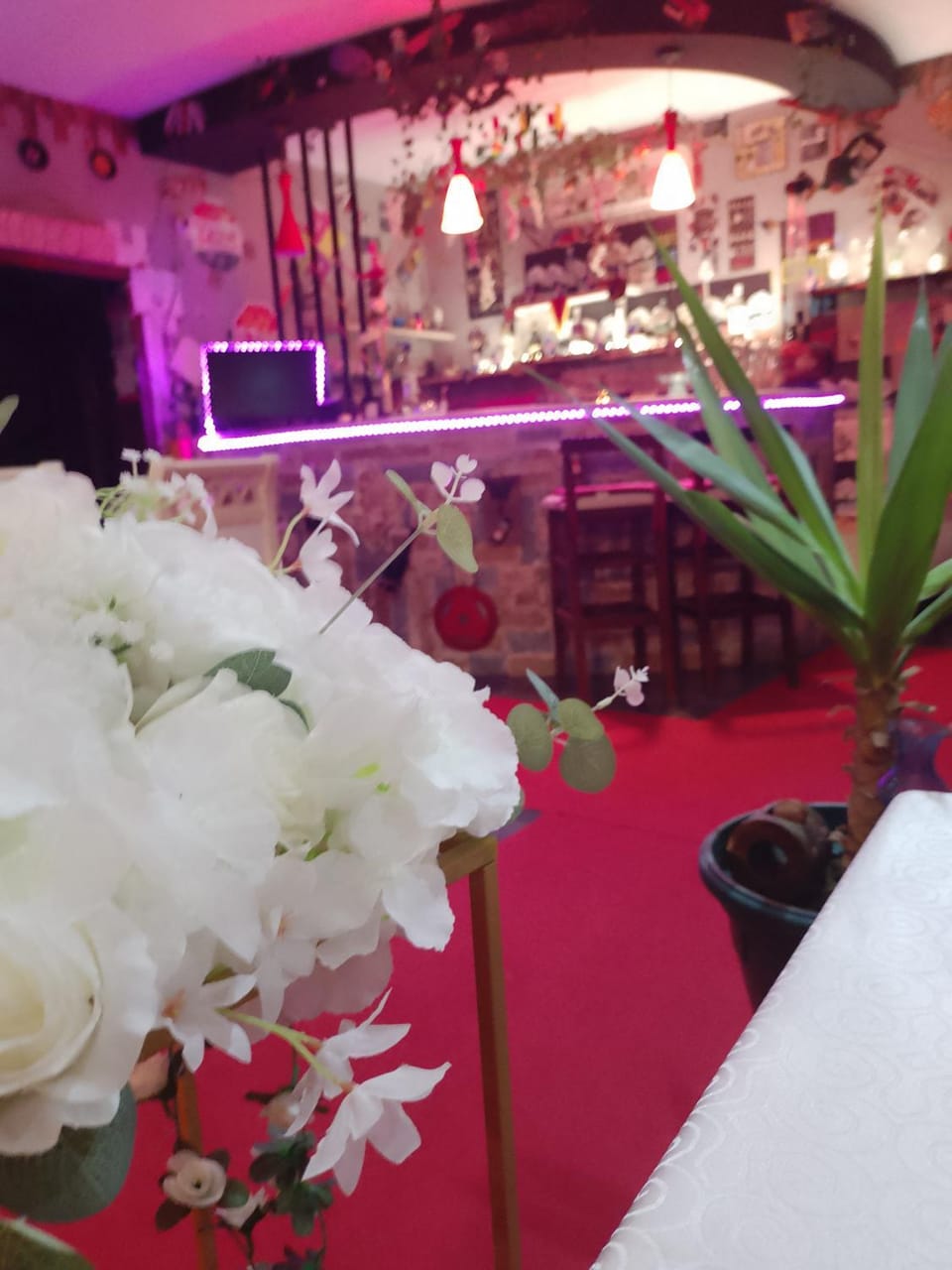 Hotel Bar Restaurant Stone Dream Vacation rental in North Macedonia