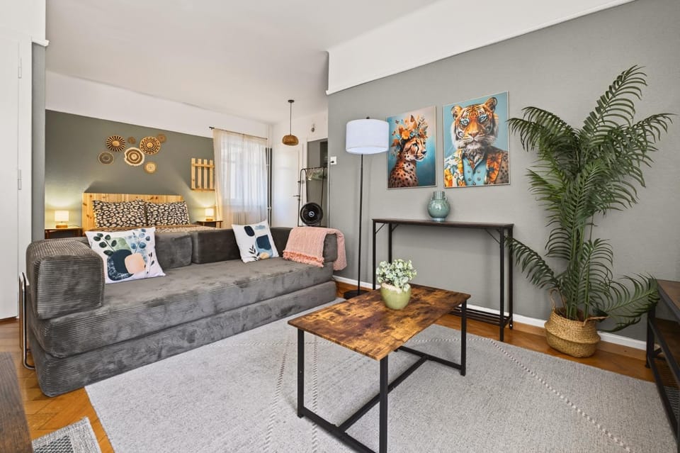 Charming city Apartment in Lausanne