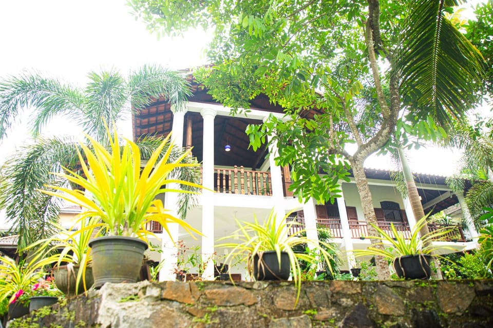 Property building, Garden view