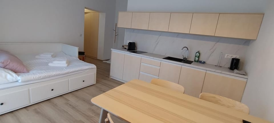 Kitchen or kitchenette, Photo of the whole room, Bedroom