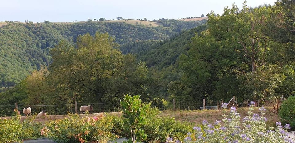 Natural landscape