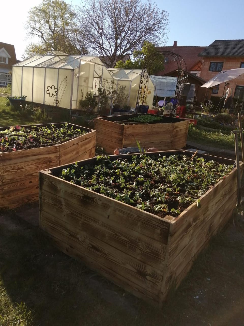 Garden, Garden, Garden view