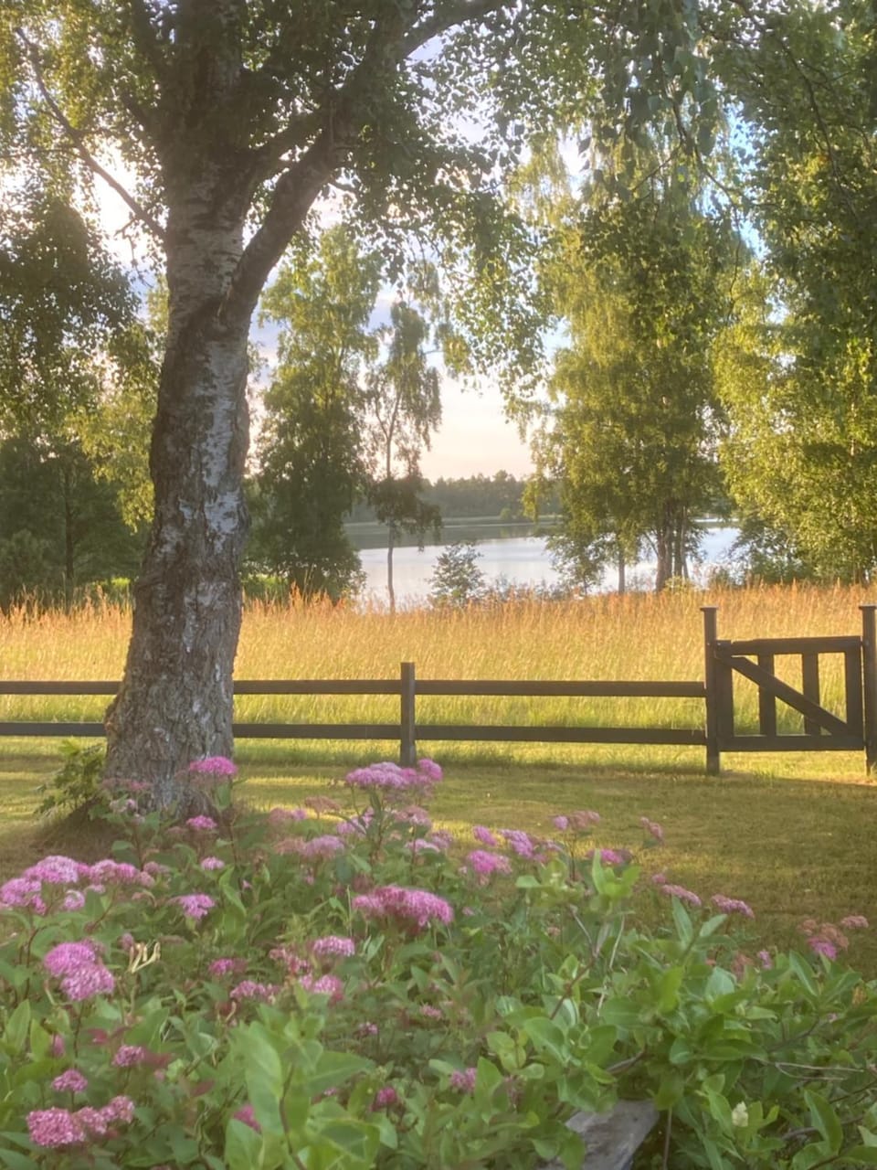 Stuga på västkusten mellan Halmstad och Båstad House in Skåne County