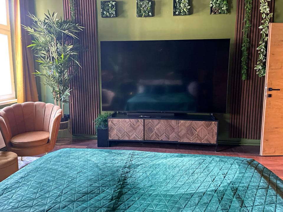 Bed, TV and multimedia