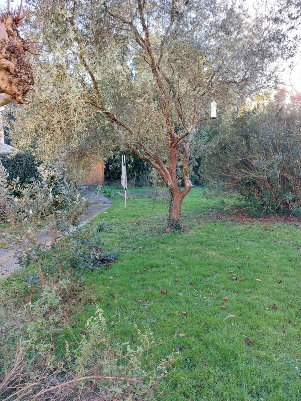 Garden, Garden