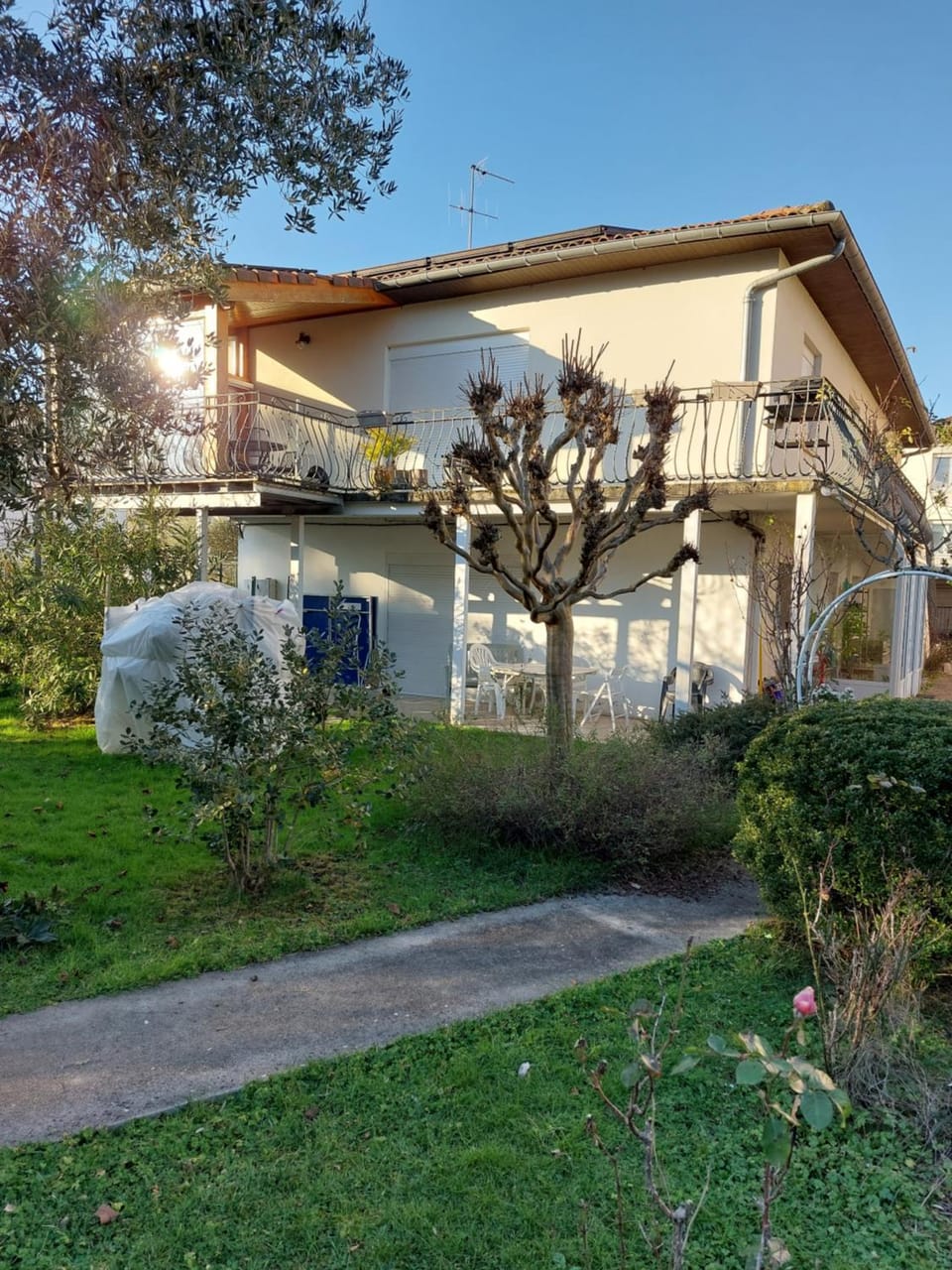 Property building, Garden, Garden view