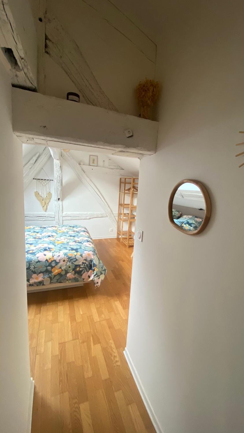 La Léonard île au coeur de l île d or logement avec chambre climatisée House in Amboise