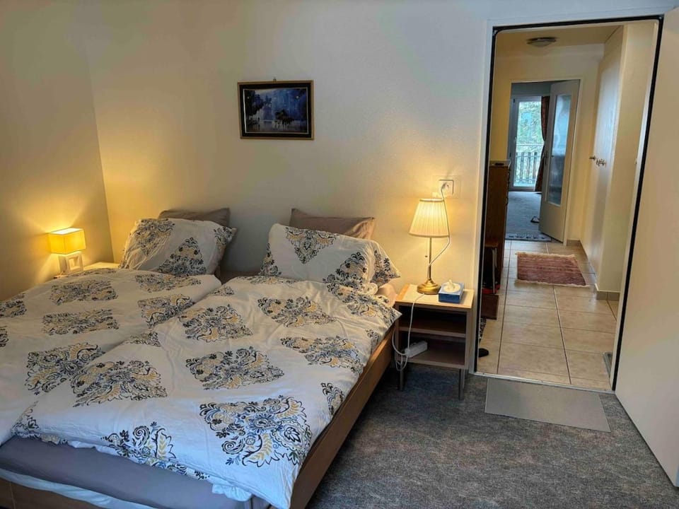 Holiday Apart 60m2 in leukerbad Apartment in Canton of Valais