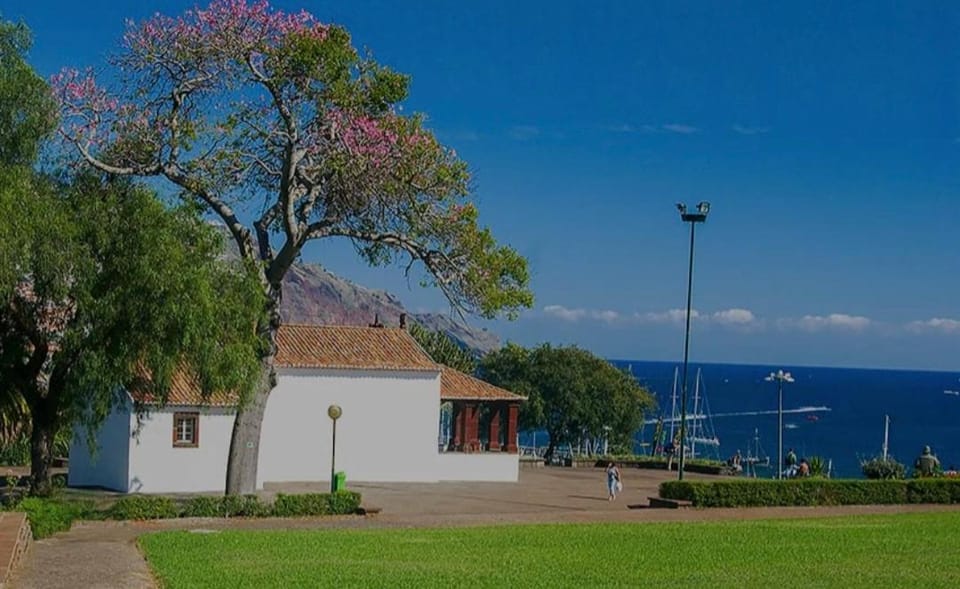 City Nest Apartment in Funchal