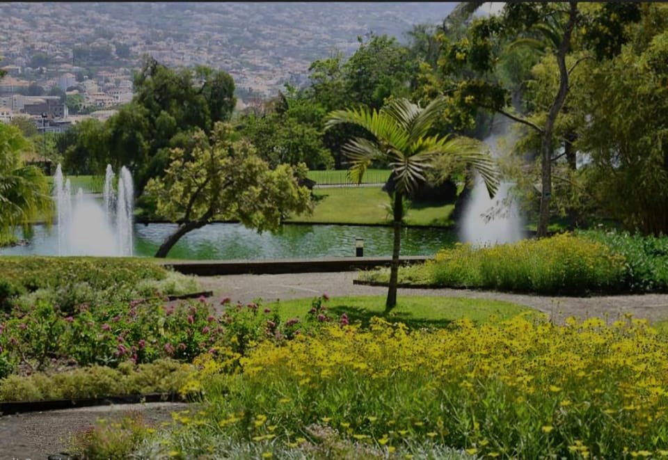 City Nest Apartment in Funchal