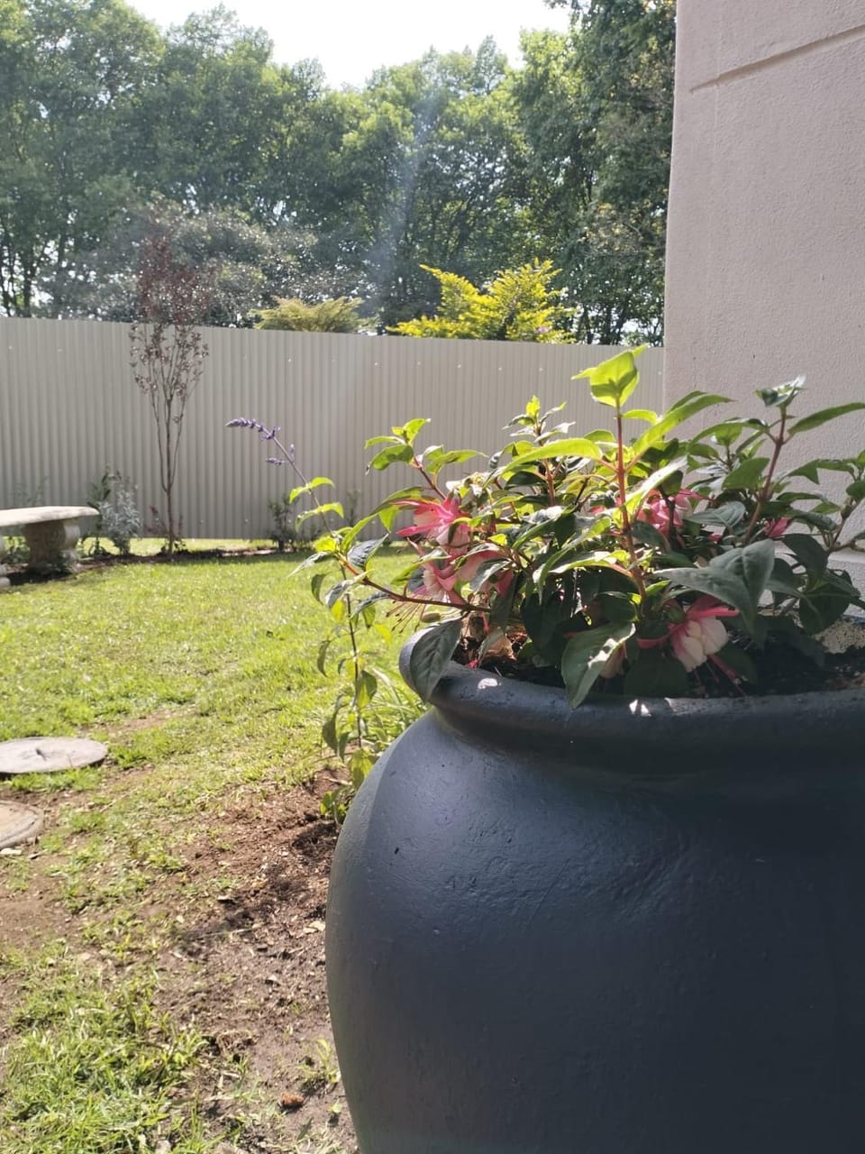 Spring, Garden, Garden view