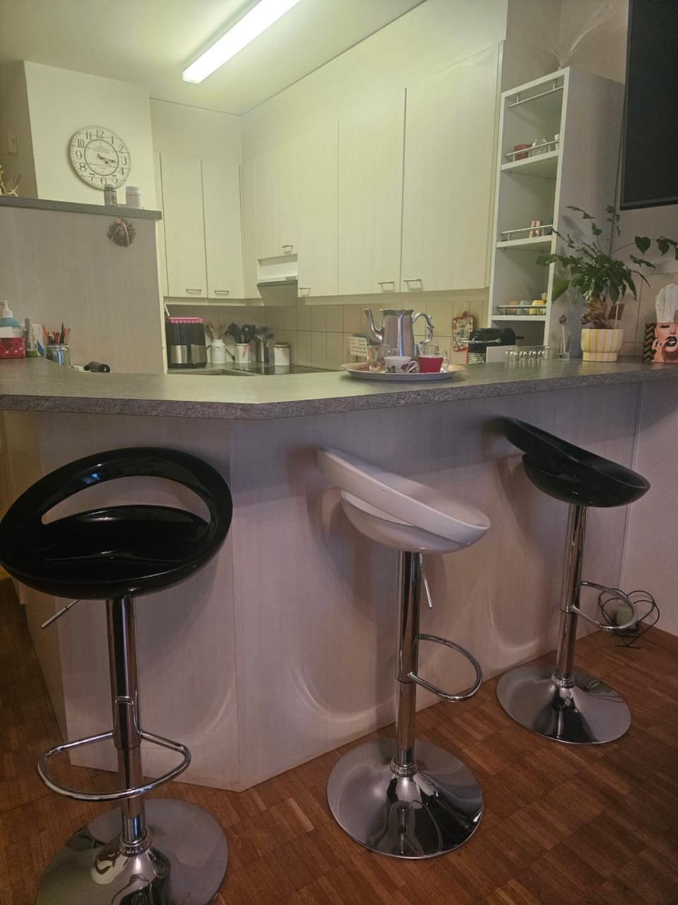 3 und halb zimmer Wohnung Birsfelden Apartment in Basel