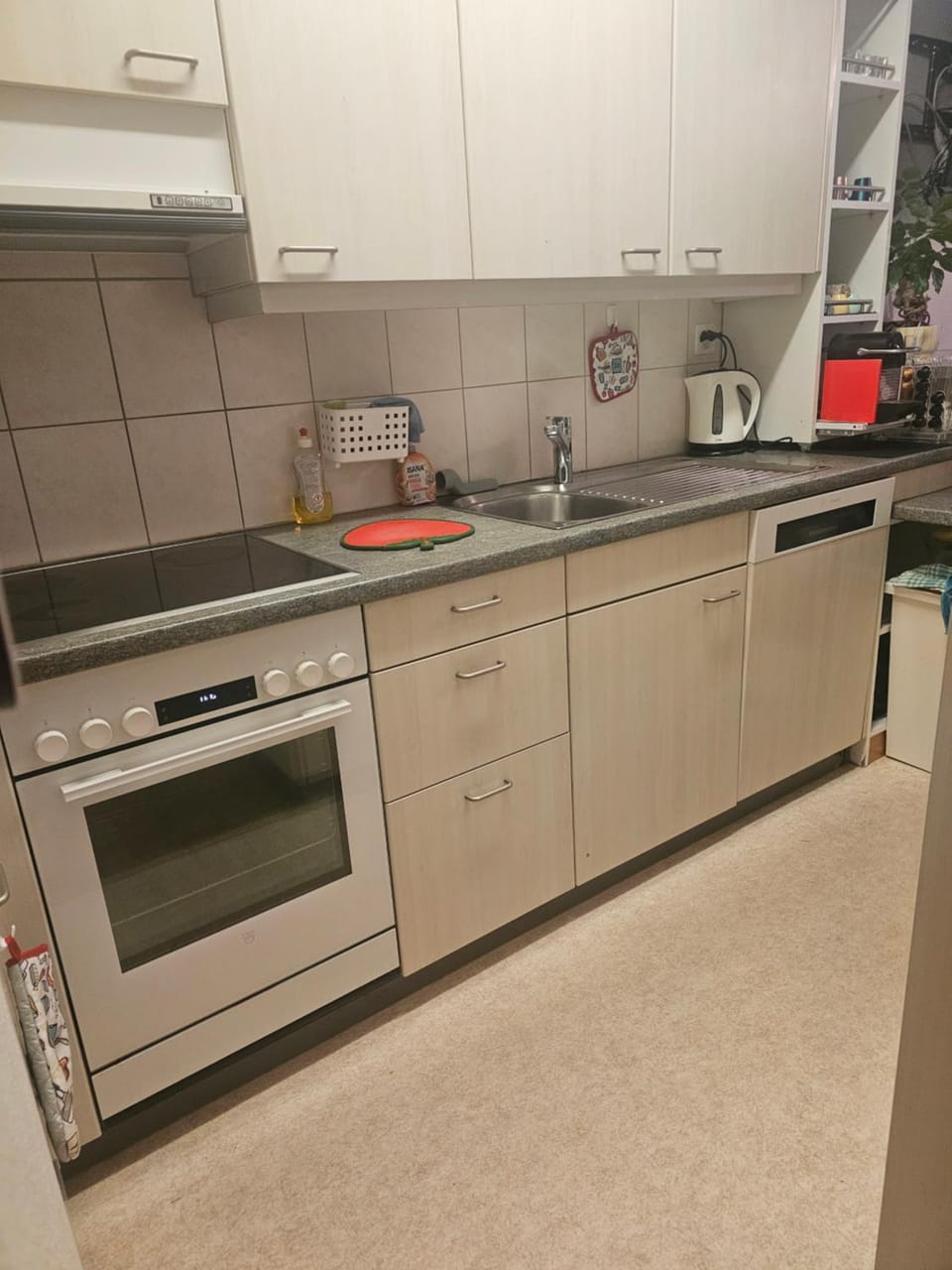 3 und halb zimmer Wohnung Birsfelden Apartment in Basel