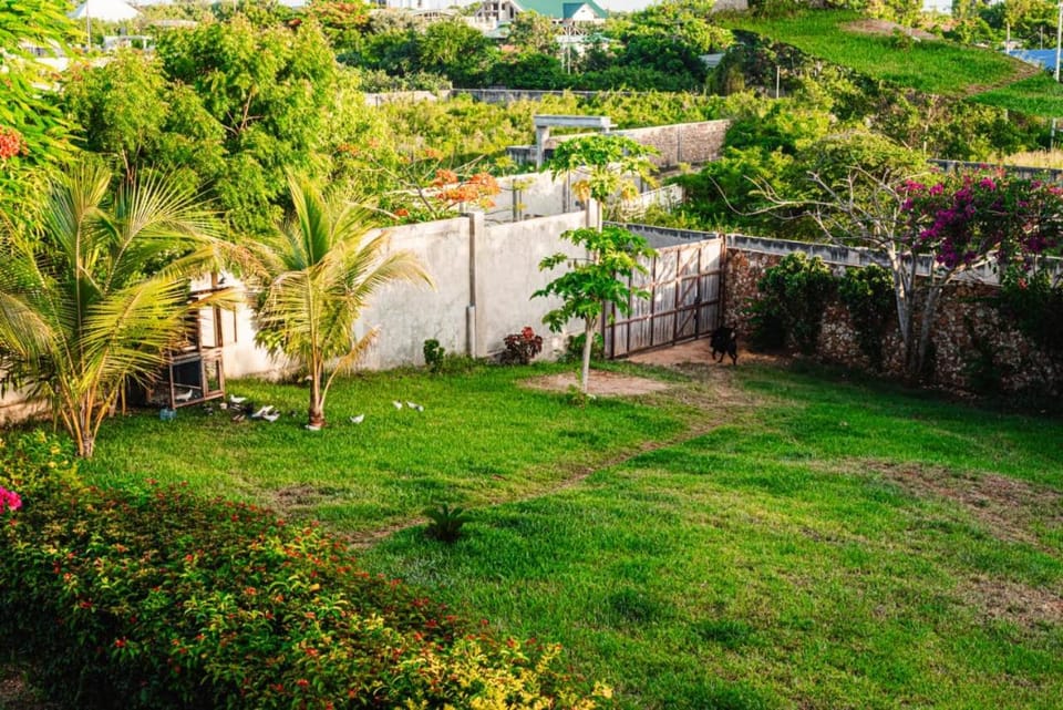 Garden, View (from property/room), Garden view