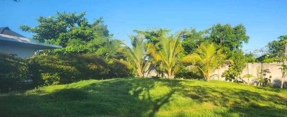 Natural landscape, Garden, Garden view
