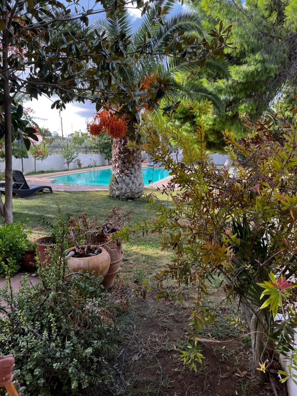 Natural landscape, Garden, Pool view, Swimming pool