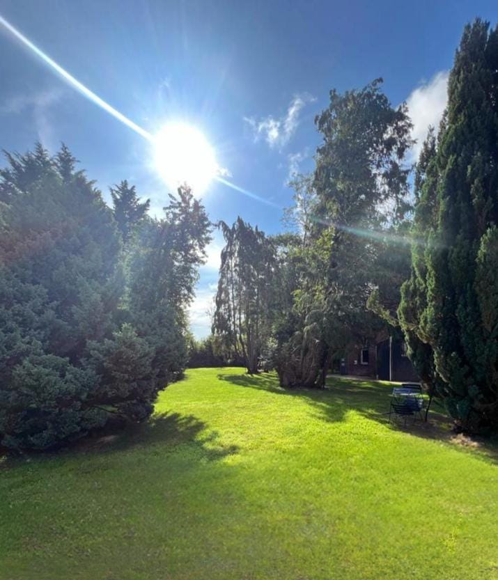 Spring, Natural landscape, Garden