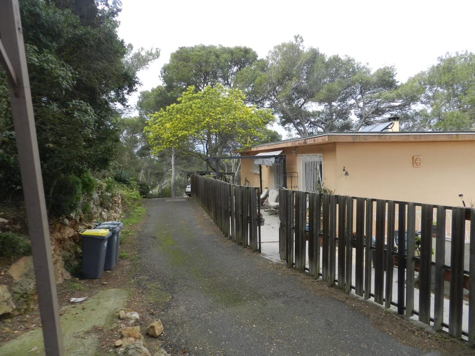 Property building, Garden, Garden view