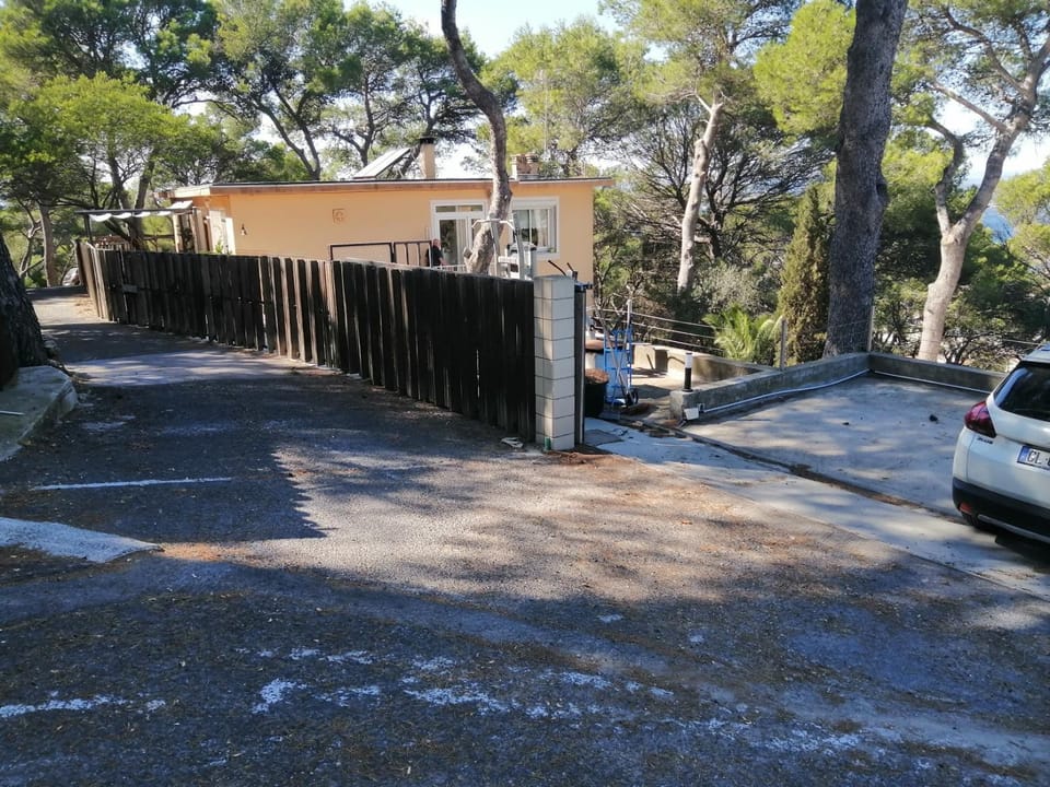 Garden, Street view