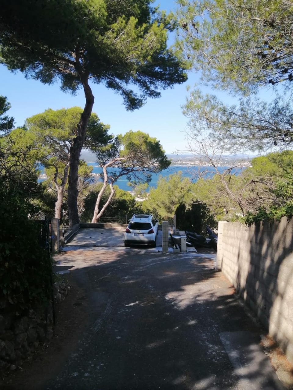 Day, Natural landscape, Garden, Lake view
