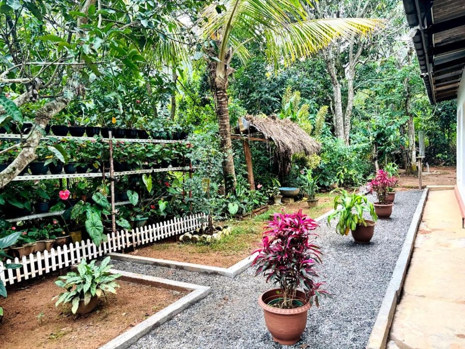 Garden view