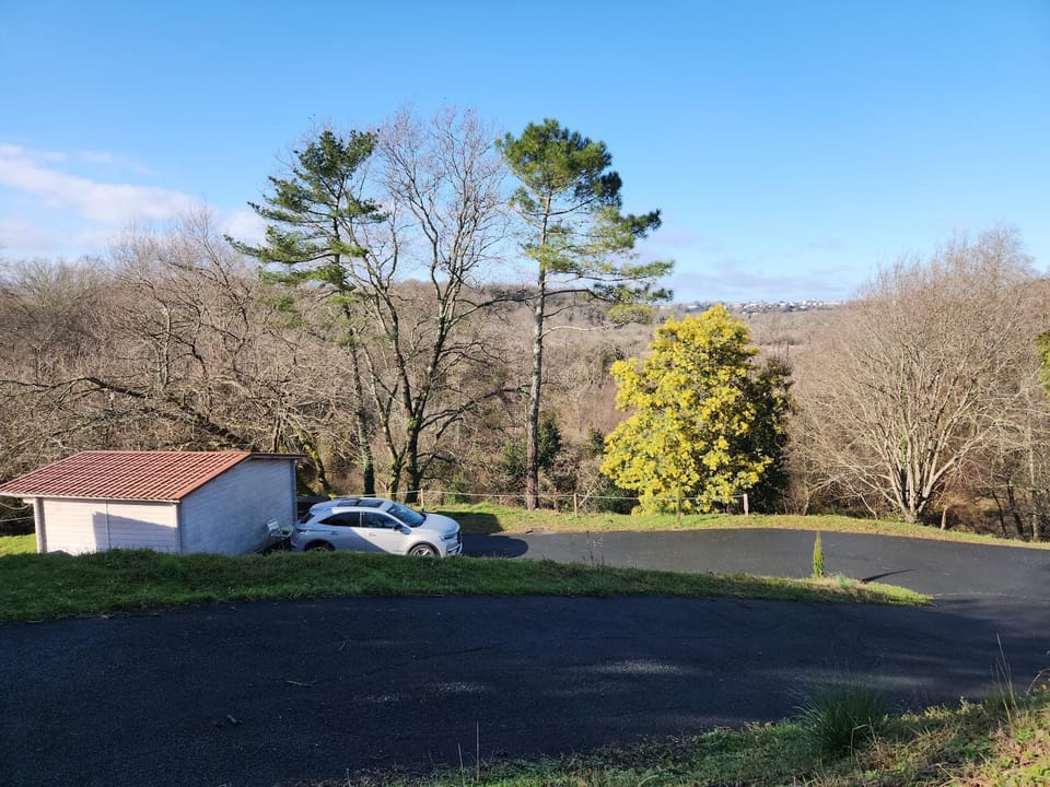 Natural landscape, Garden view