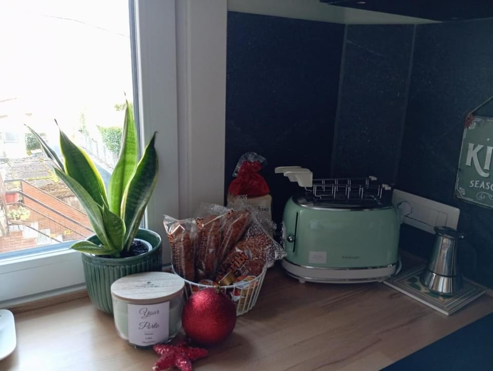 Your Porto Home Lake Mountain Apartment in Canton of Ticino