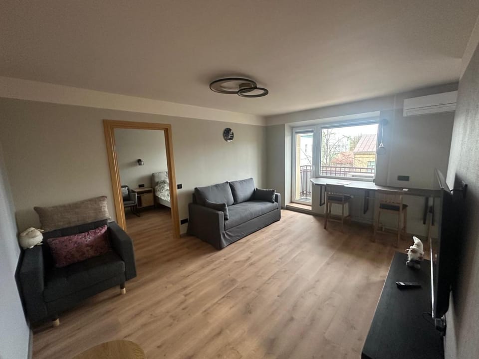 Living room, air conditioner