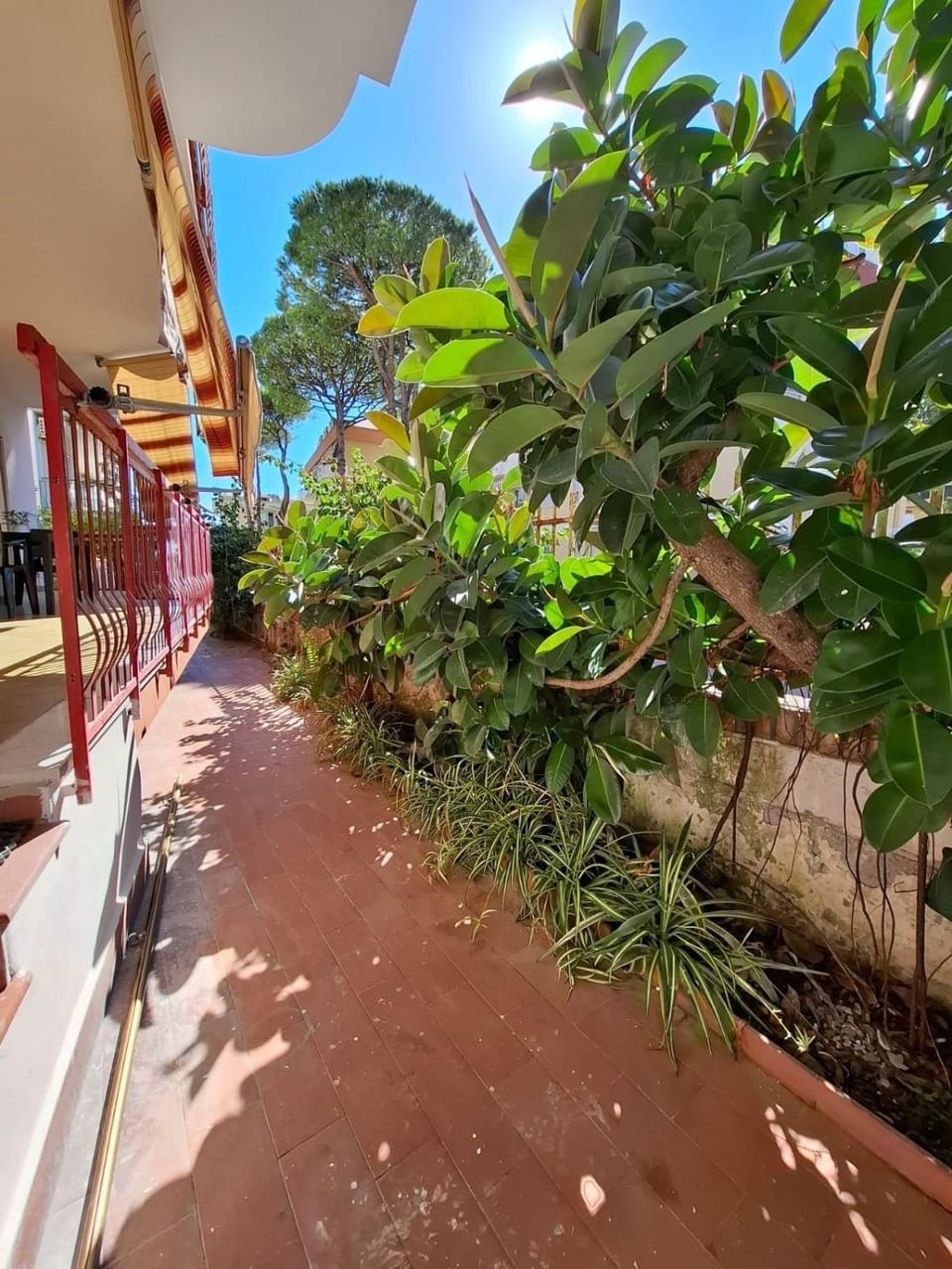 Garden, Garden view