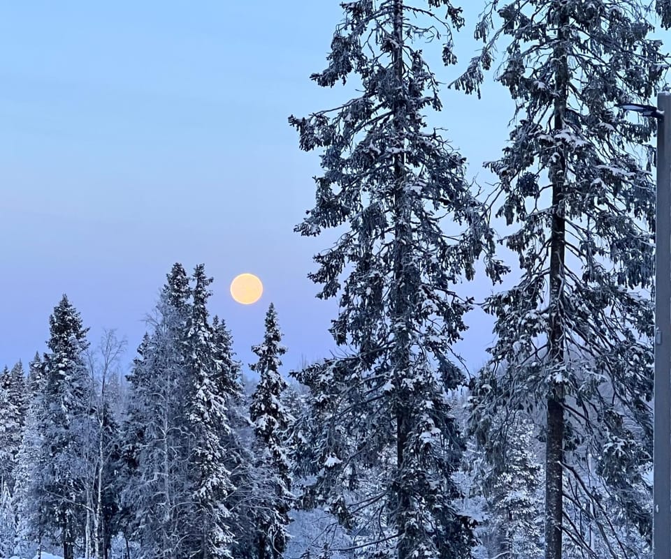 Fokus Villa in Finland