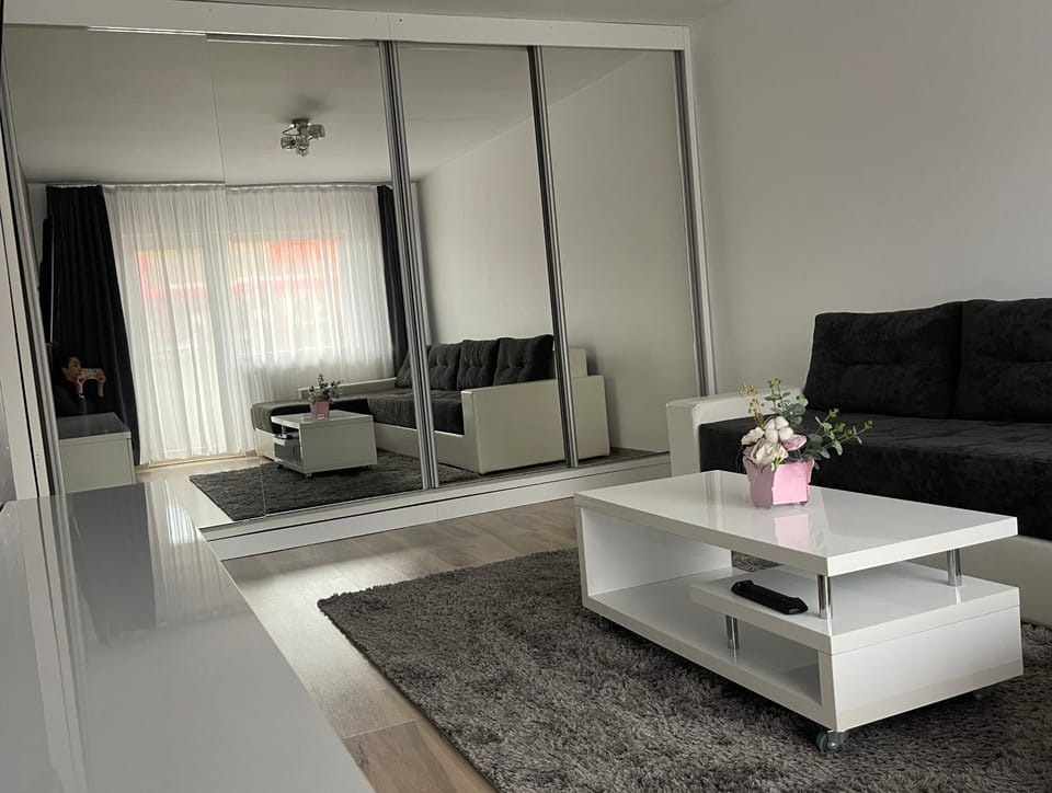 Anca Home Apartment in Romania