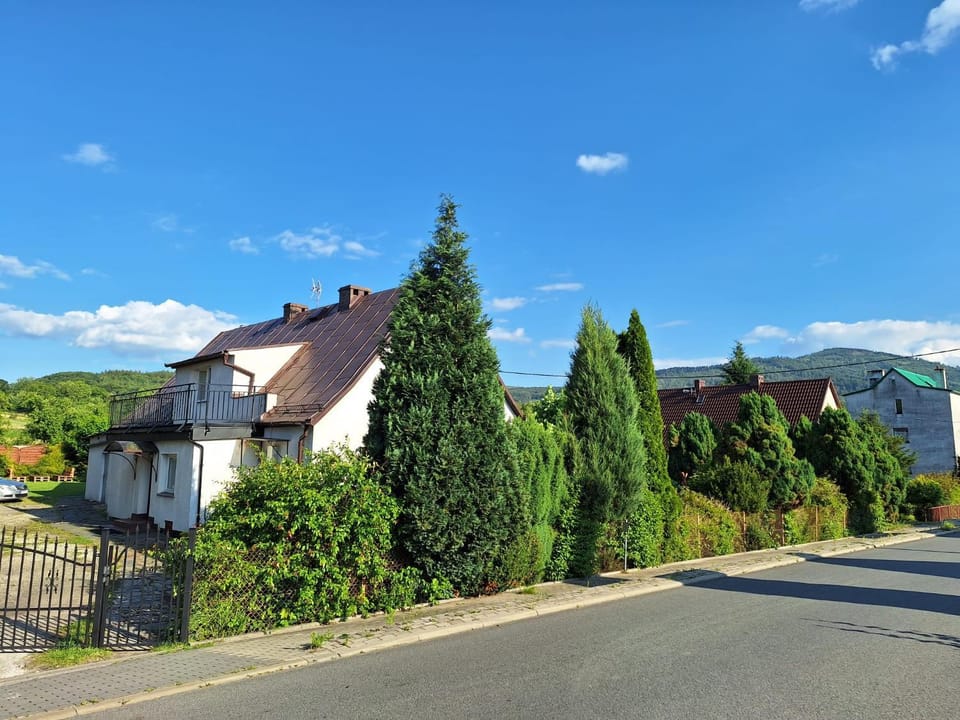 Property building, Spring, Day, Natural landscape, Street view, internet