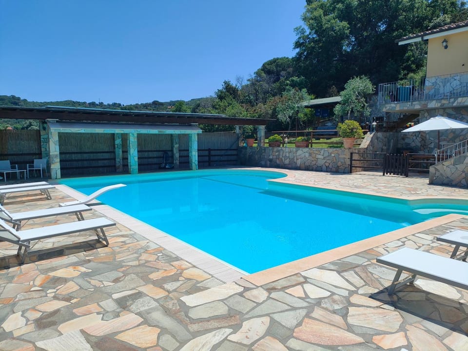 Patio, Day, Pool view, Swimming pool, sunbed