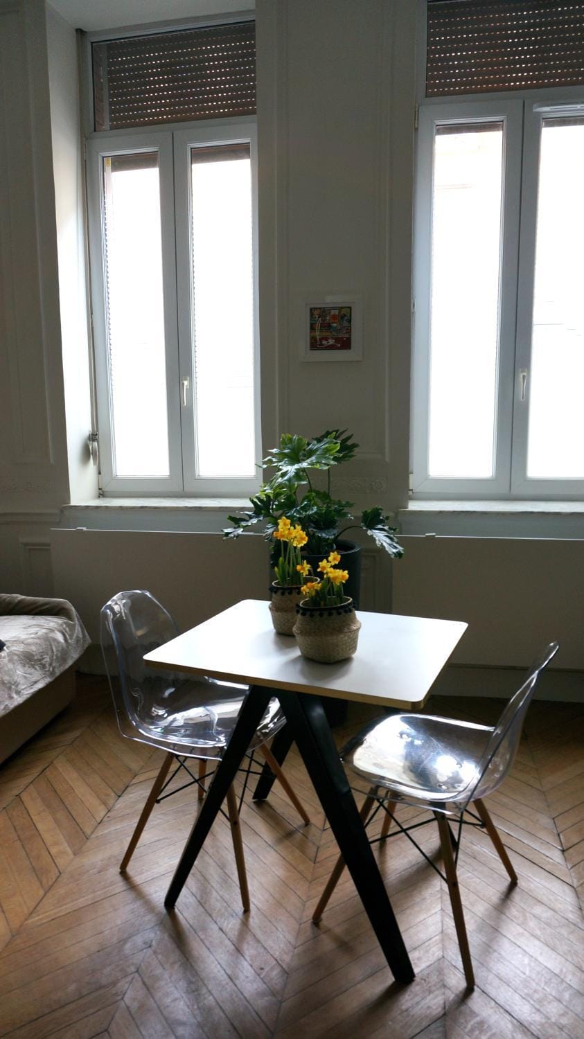 Superbe appartement refait à neuf, plein centre de Lille Apartment in Lille
