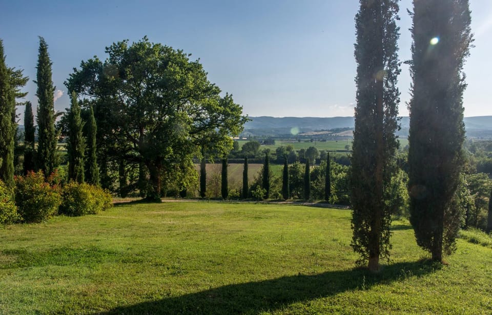 View (from property/room)