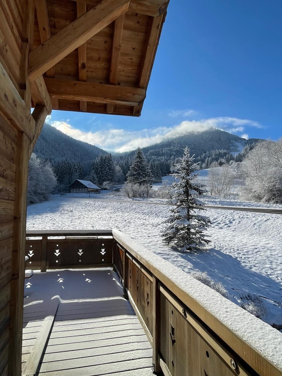 Chalet Les Oursons Chalet in Haute-Savoie