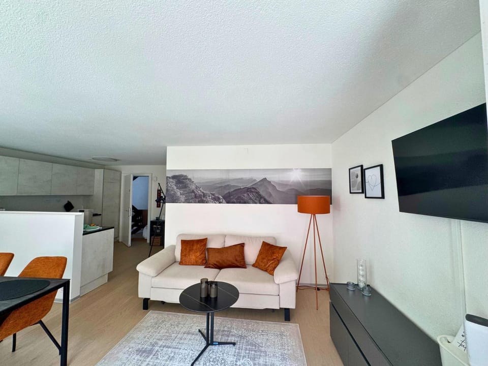 TV and multimedia, Kitchen or kitchenette, Living room, Photo of the whole room, Seating area